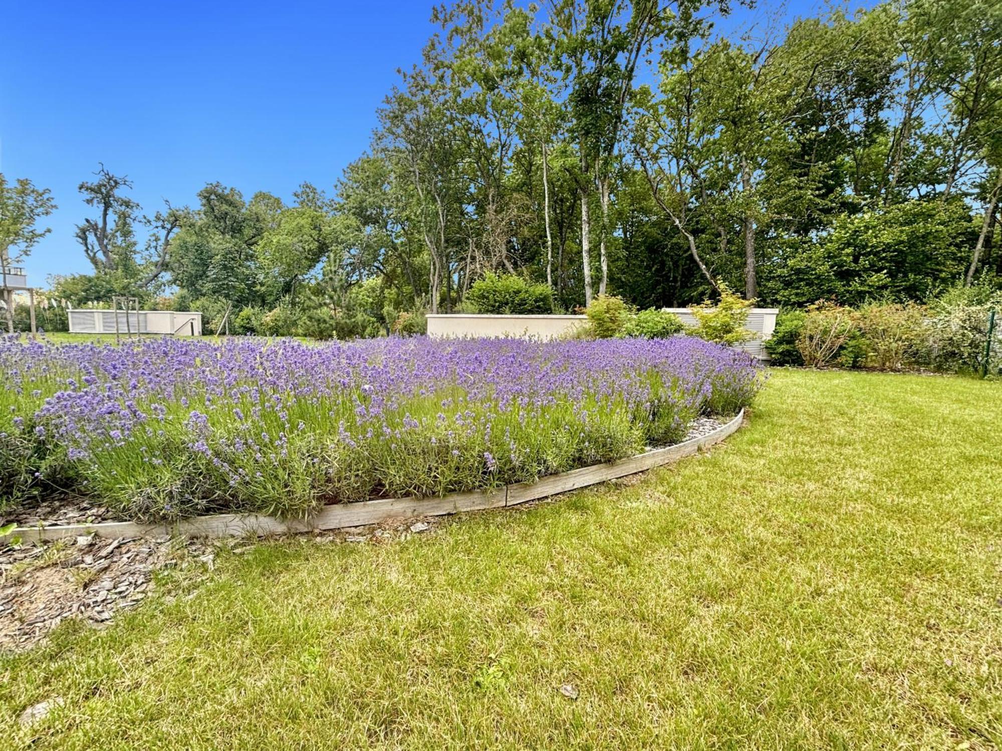Sunny Suite Disneyland Paris - Rentaway Bnb Μοντεβρέν Εξωτερικό φωτογραφία